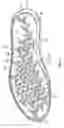 Fig. 05 - Sole structure having a midsole component with movable traction members