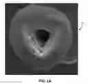 Fig. 03 - Touch fastener