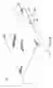 Fig. 08 - Mattress
