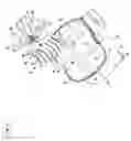 Fig. 04 - Suction apparatus for cleaning purposes