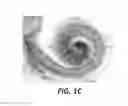 Fig. 04 - Apparatus, systems, and methods for biomedical imaging and stimulation