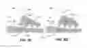 Fig. 12 - Apparatus, systems, and methods for biomedical imaging and stimulation