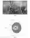 Fig. 05 - METHOD AND SYSTEM FOR CLASSIFYING OPTIC NERVE HEAD