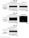 Fig. 09 - Biological information measuring apparatus