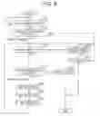 Fig. 07 - MOTION DETECTION SYSTEM, MOTION DETECTION DEVICE, MOTION DETECTION METHOD, AND MOTION DETECTION PROGRAM