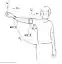 Fig. 01 - Muscle power detection device and method for muscle power classification