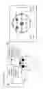 Fig. 02 - Feedback brain stimulation to enhance sleep spindles, modulate memory and cognitive function, and treat psychiatric and neurological symptoms