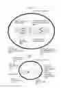 Fig. 07 - ULTRASONIC DIAGNOSTIC APPARATUS AND IMAGE PROCESSING METHOD