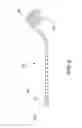 Fig. 06 - Dynamic Retractor System for Laparotomies and Cesarean Sections