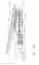 Fig. 178 - FASTENER CARTRIDGE COMPRISING A TISSUE THICKNESS COMPENSATOR AND A GAP SETTING ELEMENT