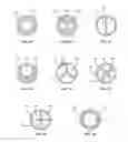 Fig. 02 - Devices and Methods for Delivery of Materials into the Nose