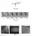 Fig. 14 - Method and apparatus for tissue grafting and copying