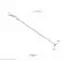 Fig. 06 - Method and device for endoscopic graft delivery using a slotted cannula