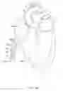 Fig. 16 - Delivery devices and wall apposition sensing