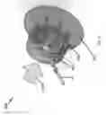 Fig. 13 - Apparatus and methods for impingement cooling