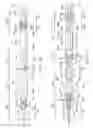 Fig. 24 - Robotic devices and systems for performing single incision procedures and natural orifice translumenal endoscopic surgical procedures, and methods of configuring robotic devices and systems