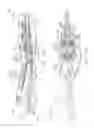 Fig. 70 - Surgical end effectors having angled tissue-contacting surfaces