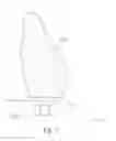Fig. 02 - Dental prosthetic