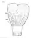 Fig. 08 - Dental prosthetic