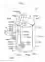 Fig. 02 - Oral cavity washing device