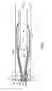 Fig. 03 - Implantable fastening device for securing a graft to at least one bone of a joint