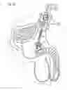 Fig. 14 - Infusion of drugs