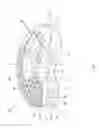 Fig. 02 - Self-pivoting spinal implant and associated instrumentation