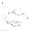 Fig. 04 - DUAL NOISE ATTENUATION (DNA) HEADSET/EARMUFF