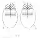 Fig. 09 - Low-bulk, close-fitting, high-capacity disposable absorbent pant