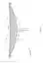 Fig. 06 - Tilt-tip moldable total care bed