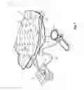 Fig. 07 - Pediatric air mattress and system