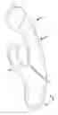 Fig. 01 - Vibrating glass massager