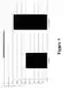 Fig. 04 - Sanitizer composition with probiotic/prebiotic active ingredient