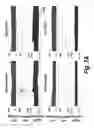 Fig. 05 - Methods for administration and methods for treating cardiovascular diseases with resiniferatoxin