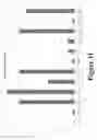 Fig. 12 - ANTIMICROBIAL PEPTIDE STIMULATING SANITIZING COMPOSITION