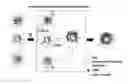 Fig. 01 - CLEAVABLE POLYMERIC MICELLES