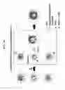 Fig. 22 - CLEAVABLE POLYMERIC MICELLES