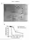 Fig. 03 - Serum-stable compositions and methods for light-triggered release of materials