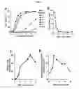 Fig. 04 - Serum-stable compositions and methods for light-triggered release of materials