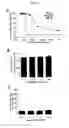 Fig. 06 - Serum-stable compositions and methods for light-triggered release of materials