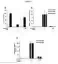 Fig. 25 - Serum-stable compositions and methods for light-triggered release of materials