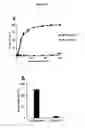 Fig. 30 - Serum-stable compositions and methods for light-triggered release of materials