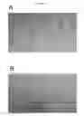 Fig. 40 - Serum-stable compositions and methods for light-triggered release of materials