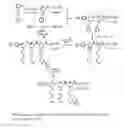Fig. 02 - Unimolecular nanoparticles for efficient delivery of therapeutic RNA