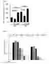 Fig. 03 - PARTHENOLIDE AND ITS DERIVATIVE FOR USE IN THE TREATMENT OF AXONAL DAMAGE