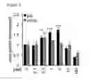 Fig. 05 - PARTHENOLIDE AND ITS DERIVATIVE FOR USE IN THE TREATMENT OF AXONAL DAMAGE