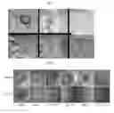 Fig. 02 - METHODS FOR WOUND HEALING AND SCAR PREVENTION