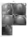 Fig. 05 - Compositions and methods for treating alopecia