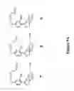 Fig. 07 - Metabolically programmed metal chelators and uses thereof