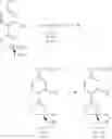 Fig. 147 - Metabolically programmed metal chelators and uses thereof